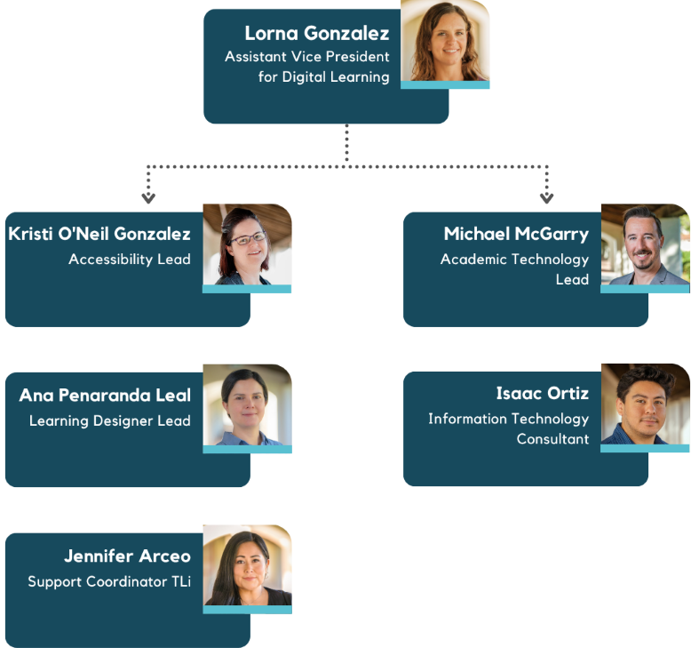 Teaching and learning innovation organizational chart