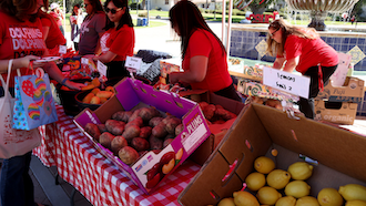 dolphin pantry volunteers