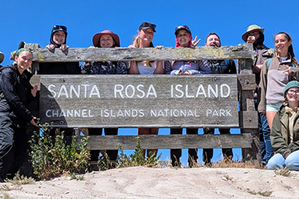 The Island Experience