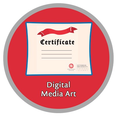 Certificate in Digital Media Arts